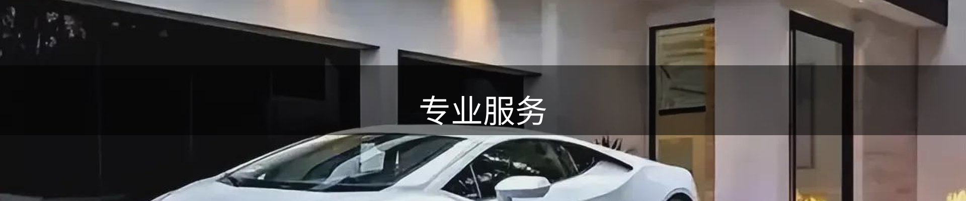 专业服务